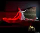 Photo de Ecrin Strip Club Toulouse I Strip Tease & Cabaret